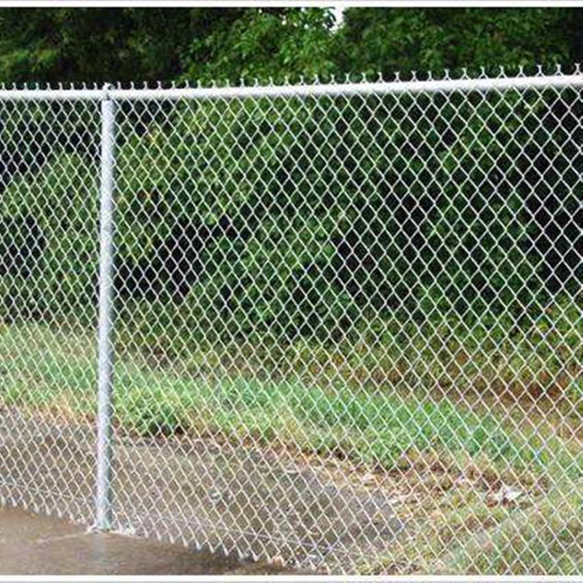 GI Chain Link Fence 2.5X2.5Inch，1.5MM, 2X10M