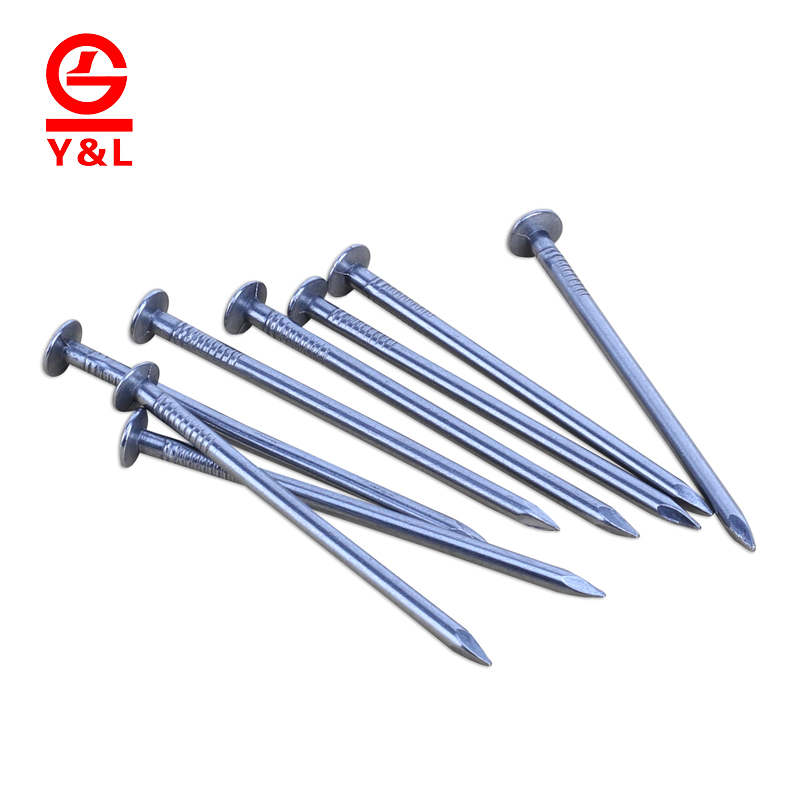 Raw Material of Wire Nail Common Nail Galvanized Nail