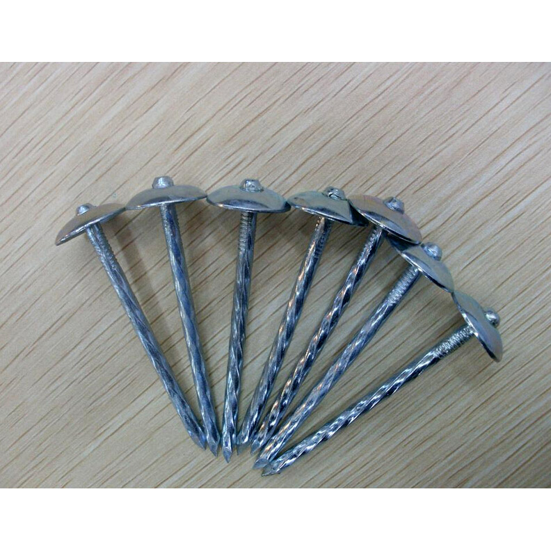 Umbrella Head Roofing Nails/Corrugated Nails Galvanized Twisted Shank