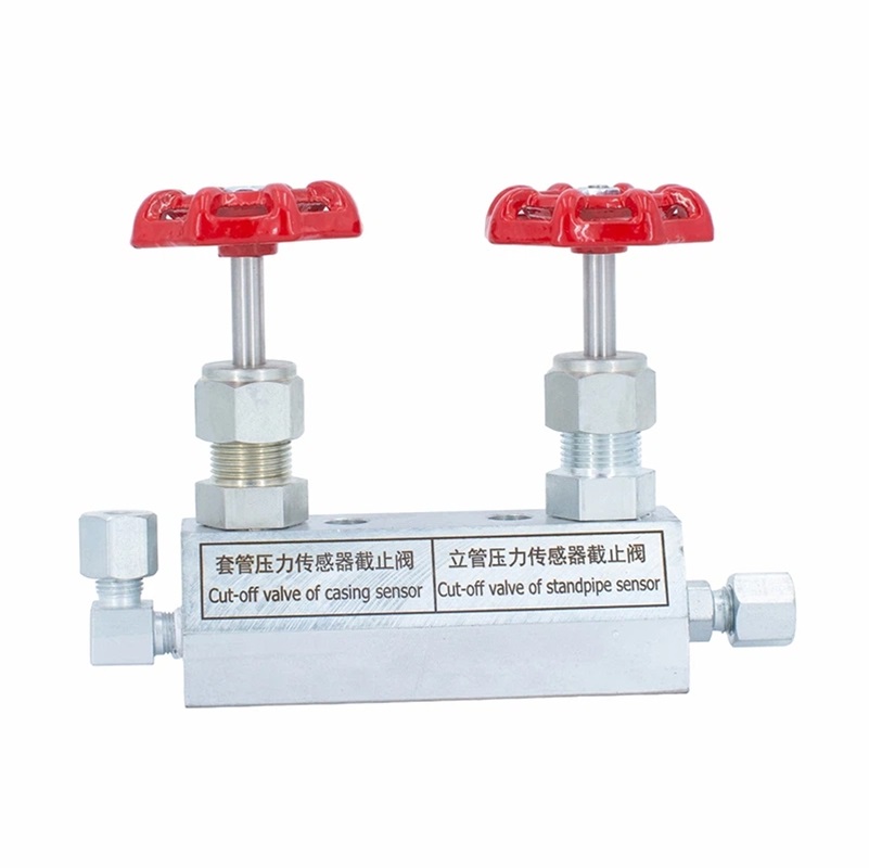 Choke Manifold Control Panel Globe Valve