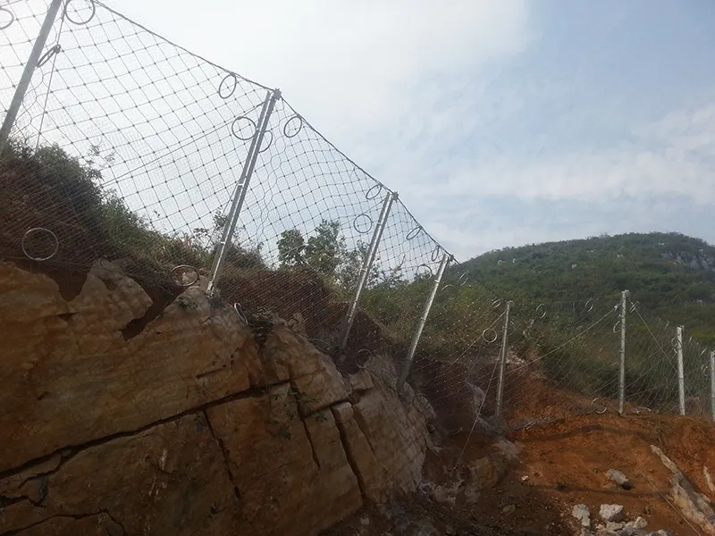 Passive Slope Protection Mesh