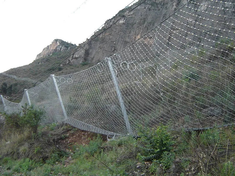 Passive Slope Protection Mesh