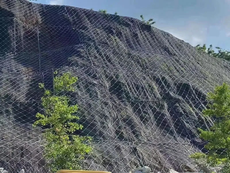 Active Slope Protection Mesh