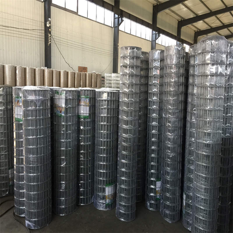 GI Weld Mesh For Garden Zone/Yard  4inch * 2inch * 2m * 15m * 4mm