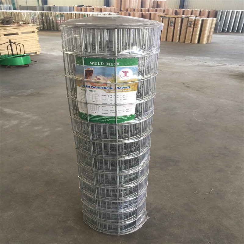 Factory Wholesale Price GI Welded Wire Mesh 2Inch X 2Inch X 2M X 50Feet X 3MM