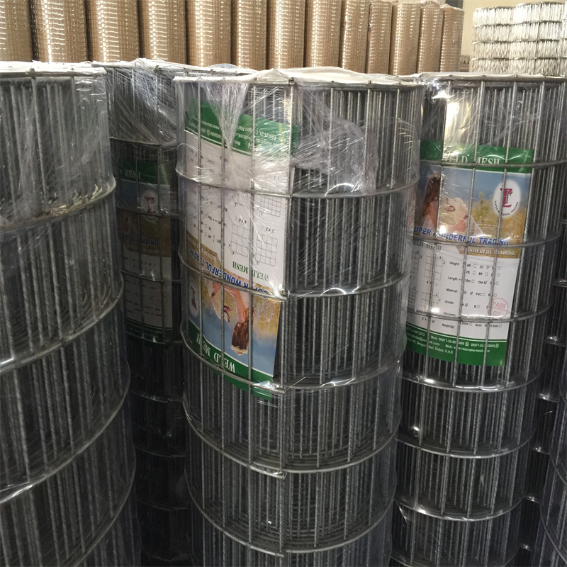 GI Weld Mesh  2inch * 2inch * 2m * 15m * 3mm