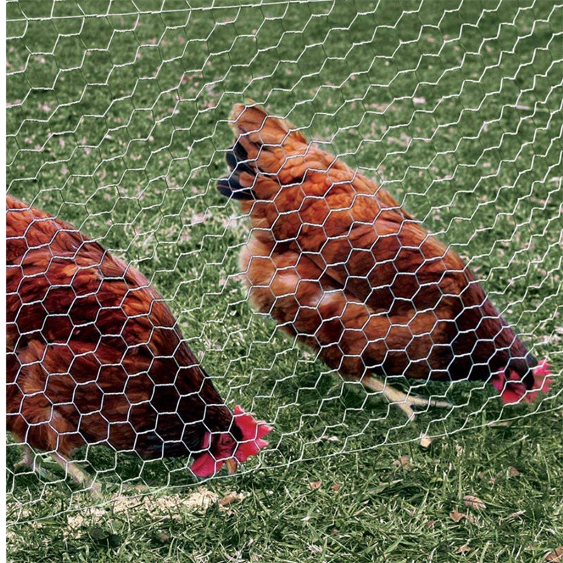 PVC Chicken Mesh  3/4inch * 3/4inch * 1.2m * 30m * 0.8mm