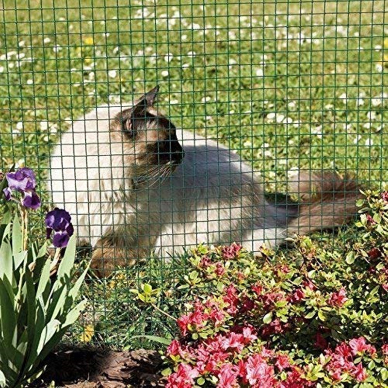 High Quality  Green Color PVC Coated  Welded Square Wire Mesh 3/4Inch X 3/4 Inch X 2M X 50Feet X 1.6MM