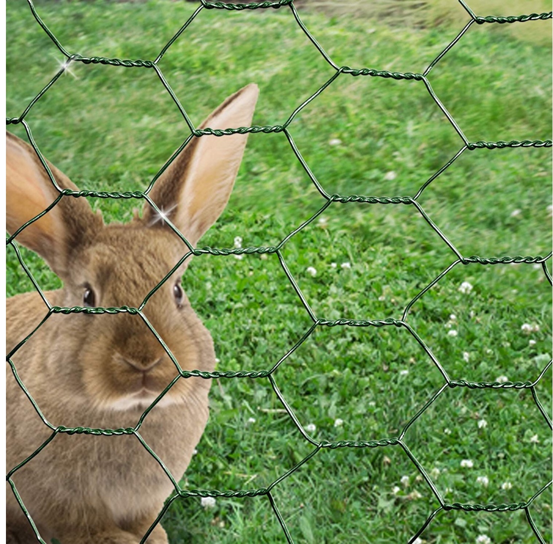 GI Chicken Wire Fencing、Livestock Fencing Roll、 Ideal for Chickens, Rabbits  and Dog Runs,GI Hexagonal Mesh 1inch X 1inch X 1.5m X 30m （1mm）, Sinopro -  Sourcing Industrial Products