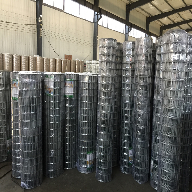 Factory Wholesale Price GI Welded Wire Mesh 2Inch X 2Inch X 2M X 50Feet X 3MM