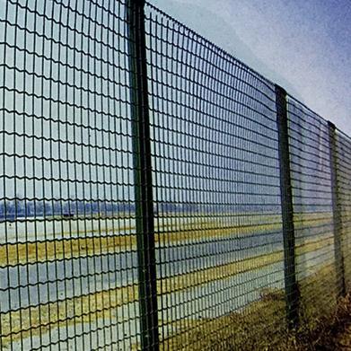 Green Color PVC Holland Wire Mesh Fence  50x50mm 3mm  2mx30m