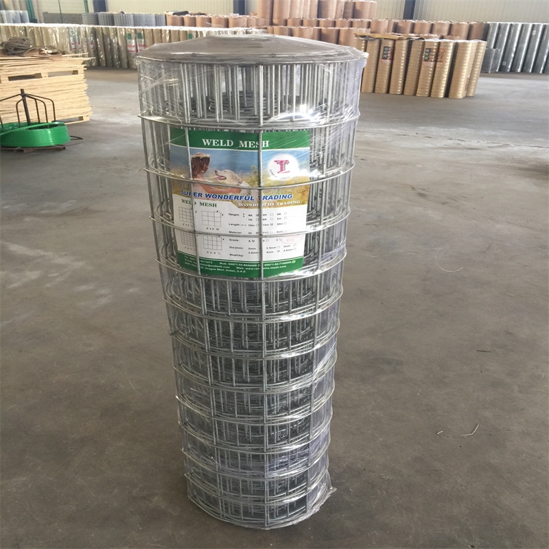 GI Weld Mesh  4inch * 4inch * 2m * 15m * 4mm