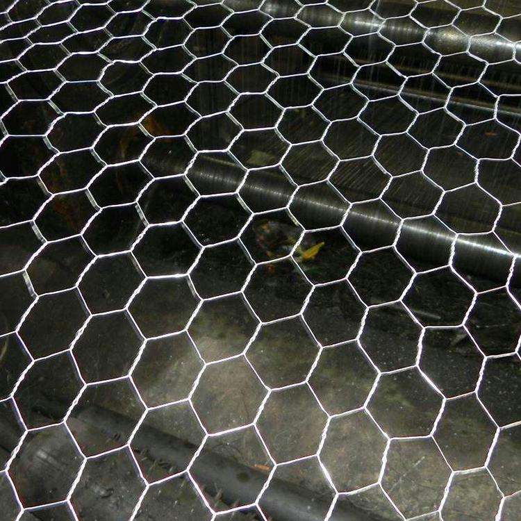 SS304 Hexagonal Mesh  1inch * 1inch * 1m * 30m * 0.9mm