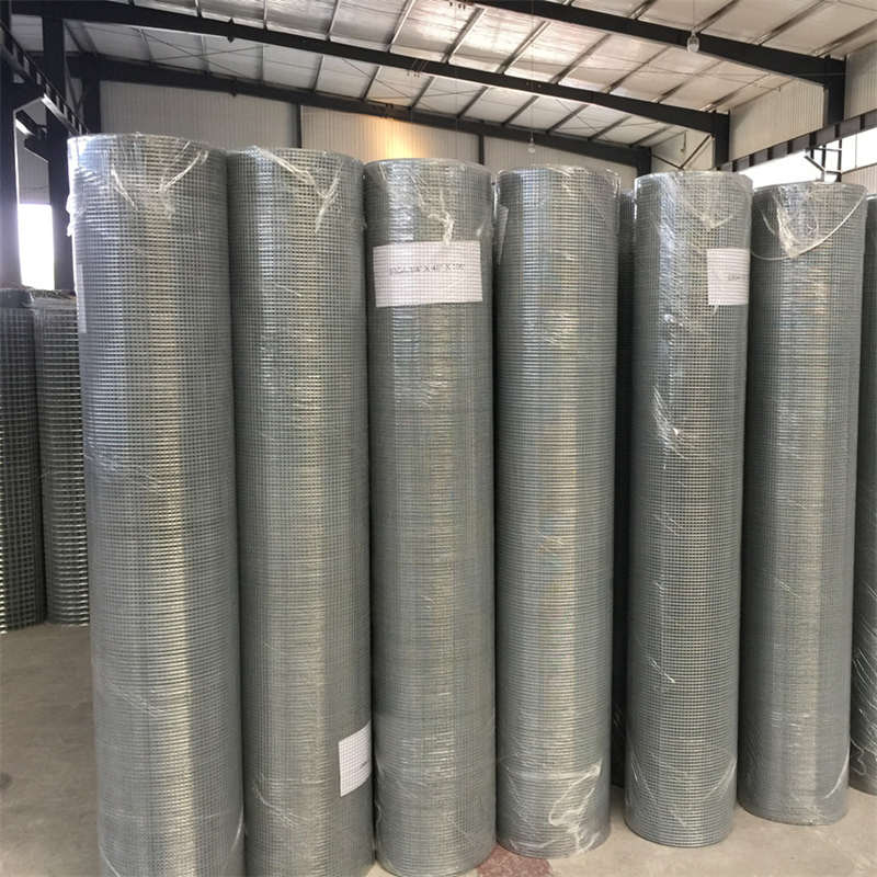 Factory Wholesale Price GI Welded Wire Mesh 1/4Inch X 1/4 Inch X 4Feet X 50Feet X 0.5MM