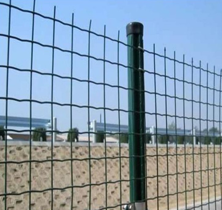 Green Color PVC Holland Wire Mesh Fence  50x50mm 3mm  2mx30m